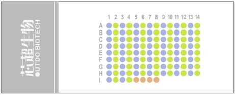 HThyP120CS03